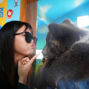 春游之際，臨泉魔幻動物園與您有個約“惠”