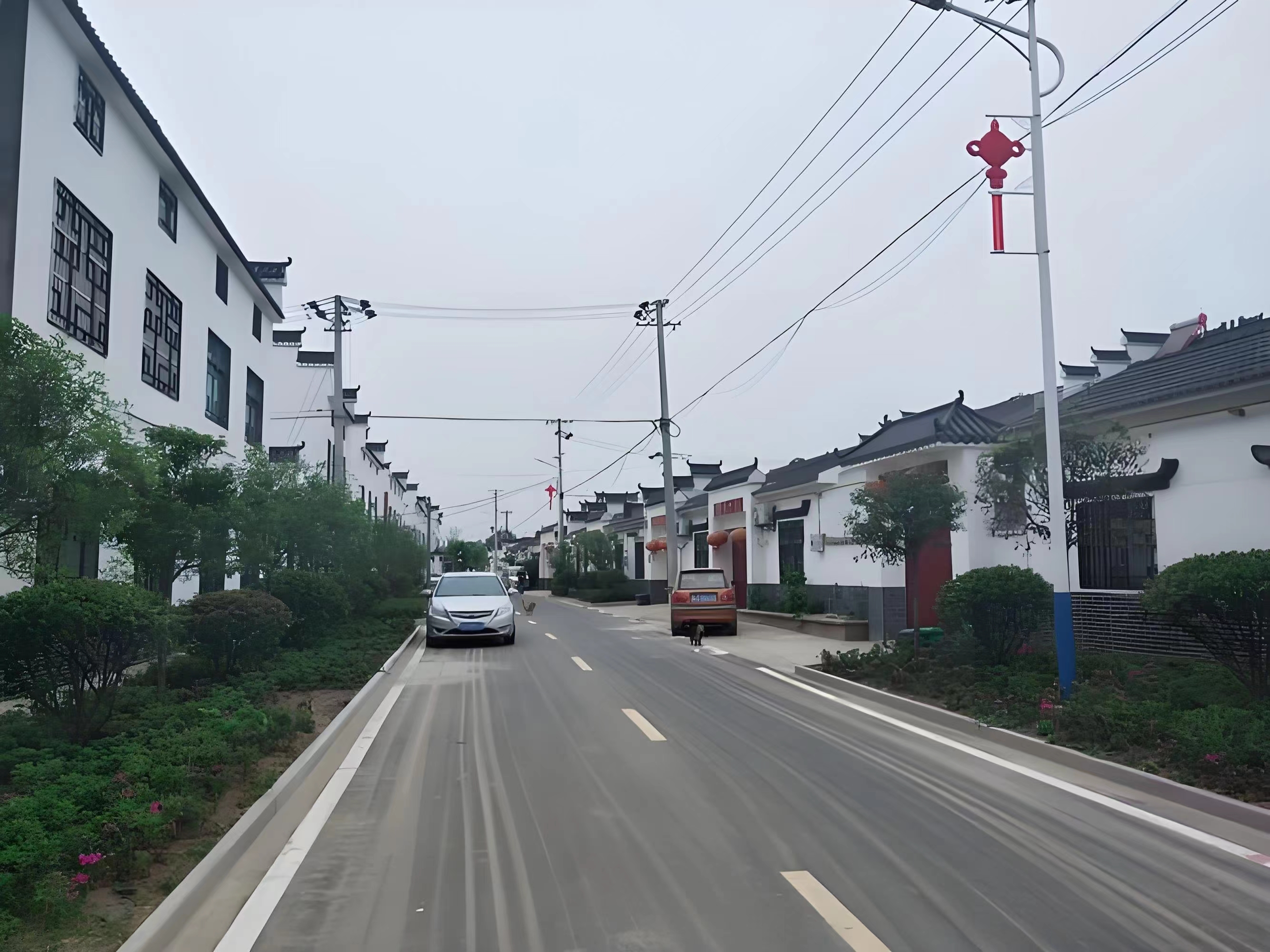 傳承紅色基因，續(xù)寫潁上黃壩發(fā)展新篇章